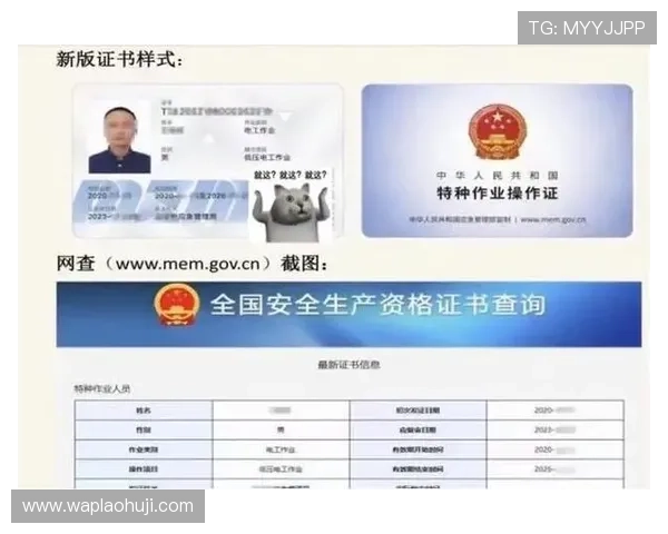 如何通过papa电子证书提升个人数字身份安全保障措施详解