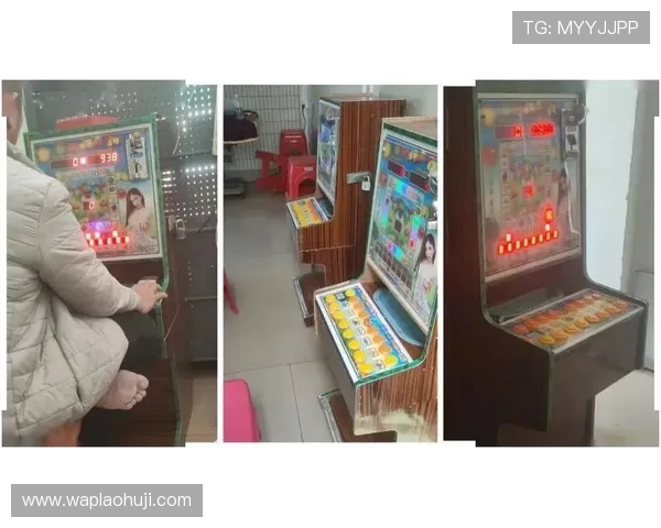 老虎机在哪可以体验到丰富的游戏选择，详细地点介绍助你轻松入场